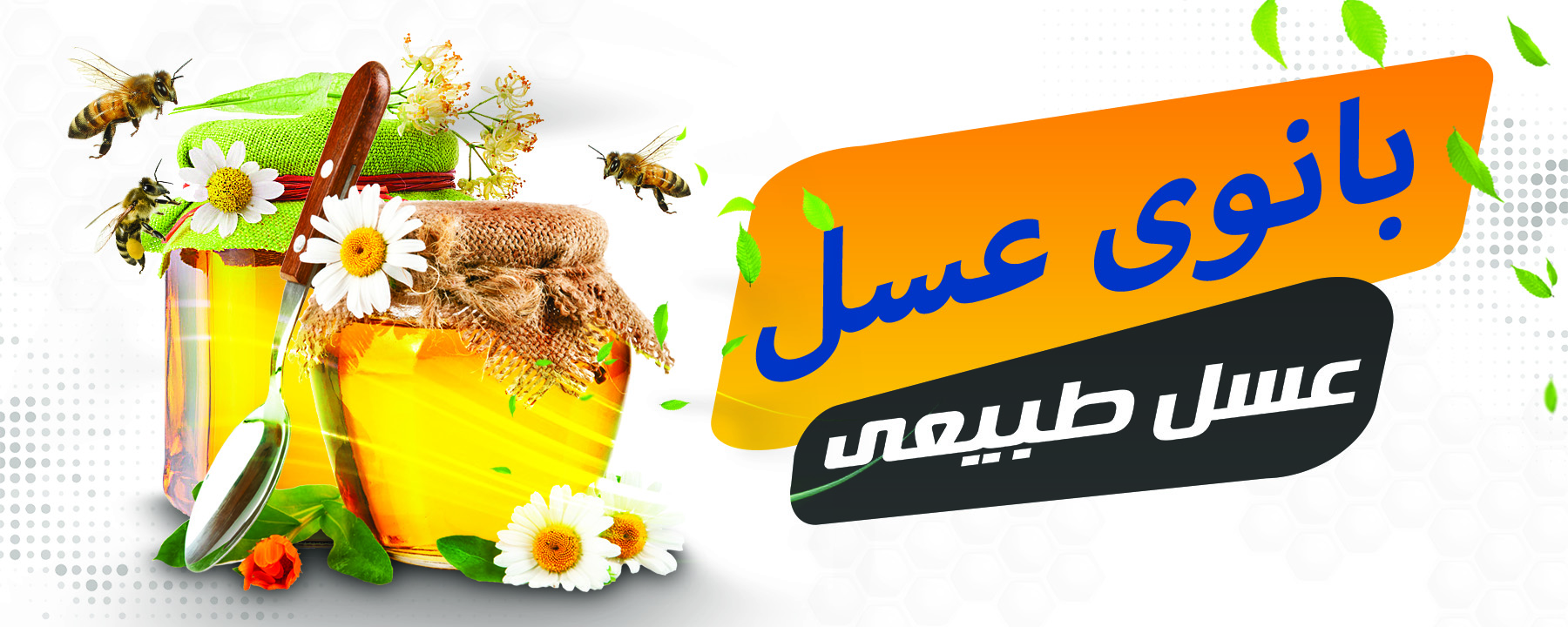 عسل سهند بانوی عسل