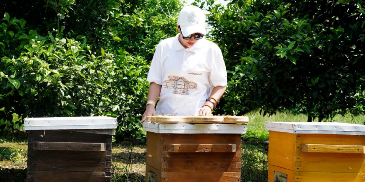 عسل سیب بانوی عسل