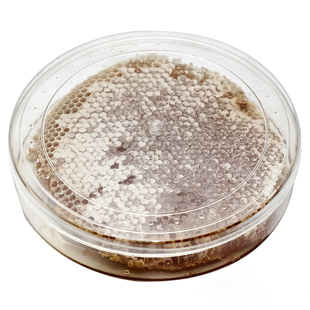 Buy-natural-waxy-honey-big-min-min خرید عسل موم دار