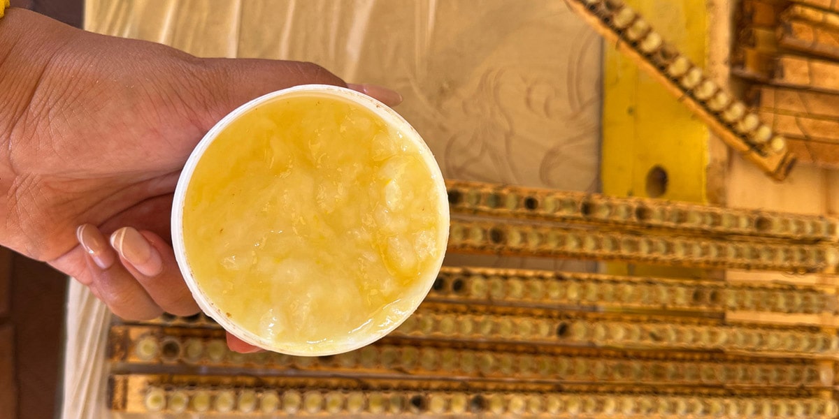 ژل رویال اصل