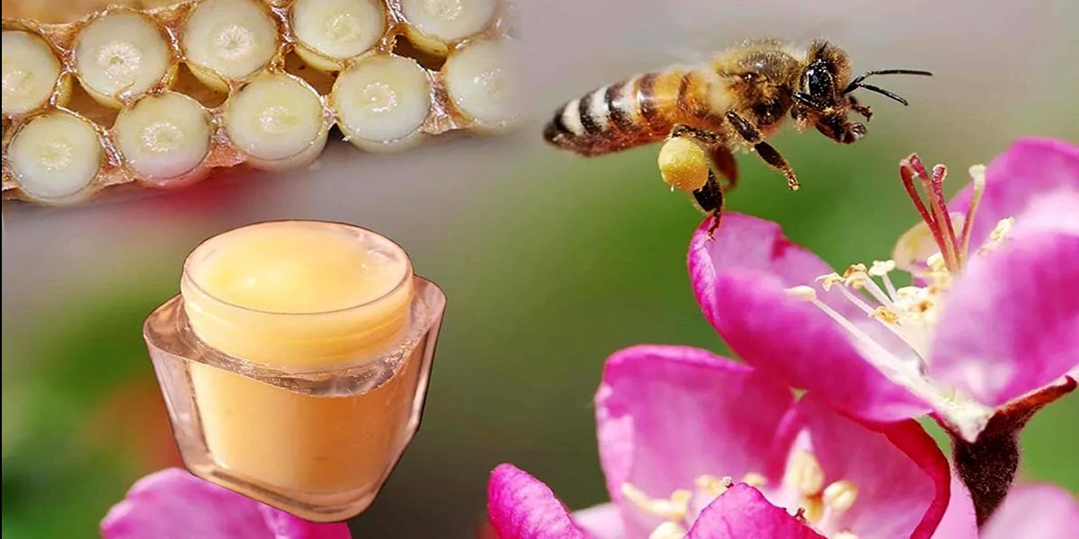 ژل رویال 10 گرمی 1 ژل رویال 10 گرمی