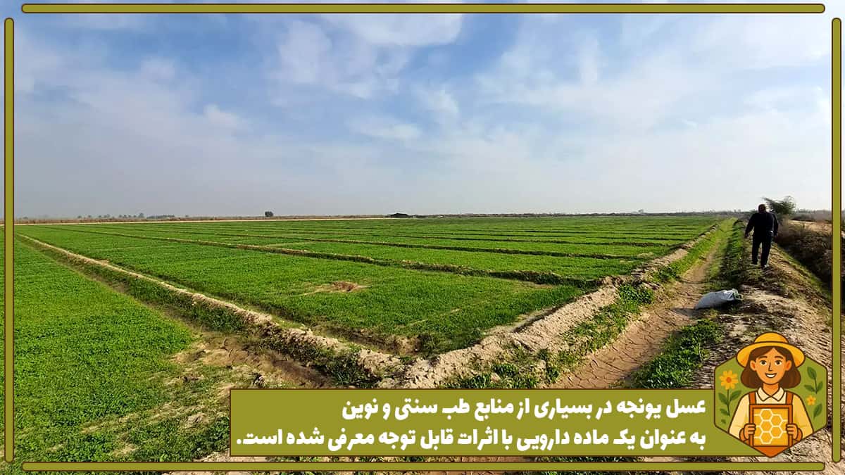 مراتع زیر کشت گیاه یونجه