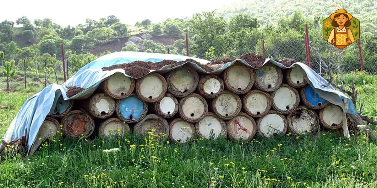 عسل موم دار 2 عسل سبد