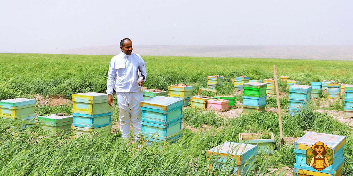 خواص عسل چهل گیاه