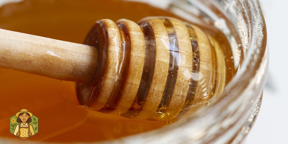 خواص عسل کوهی در طب سنتی و مدرن 3 خواص عسل کوهی برای معده