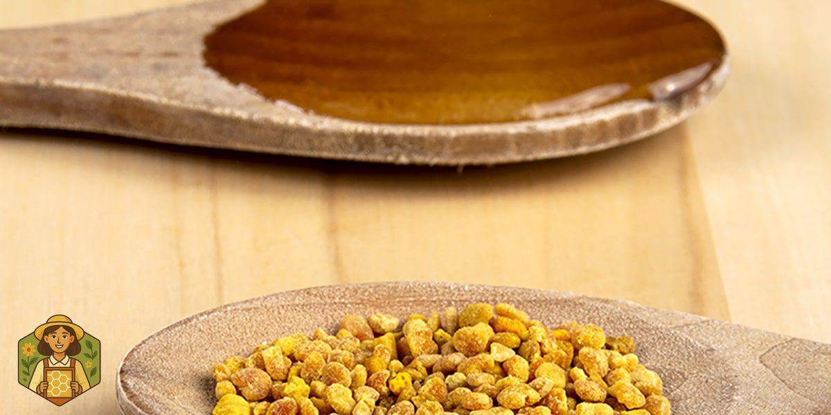 8 مورد از خواص خوردن گرده گل با عسل 6 گرده گل با عسل