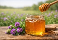خواص عسل یونجه