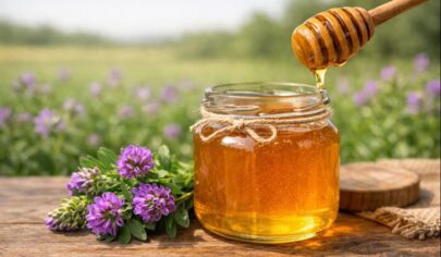 خواص عسل یونجه