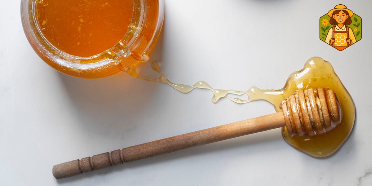 قیمت عسل طبیعی 1405 چقدر است؟ 4 قیمت عسل با موم اردبیل