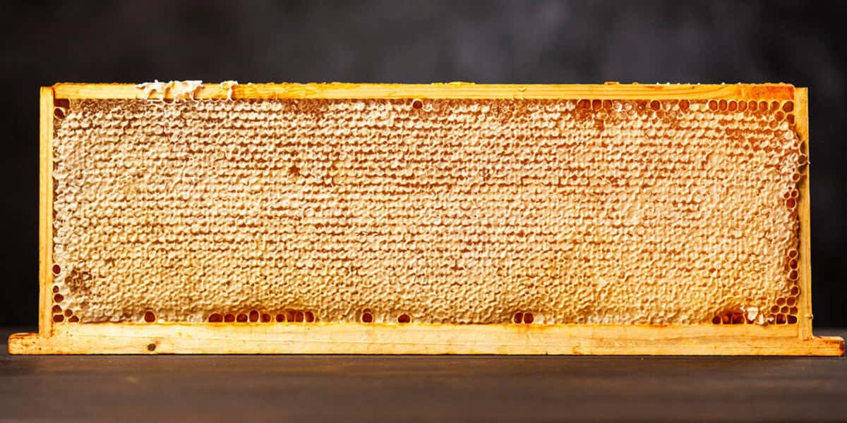قیمت عسل طبیعی 1405 چقدر است؟ 6 قیمت عسل طبیعی