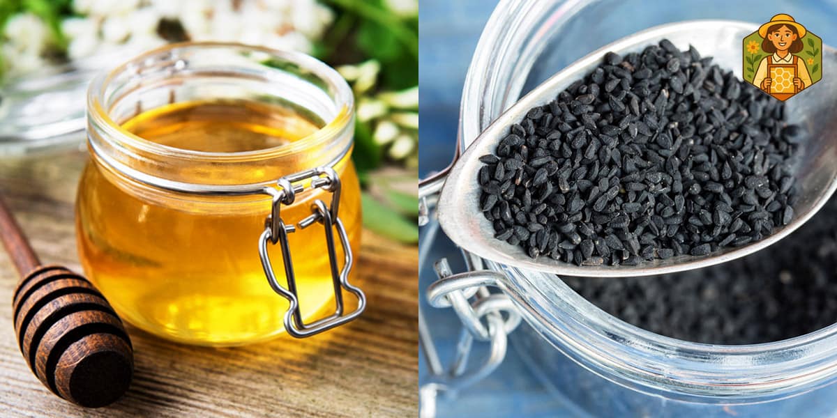 مضرات عسل و سیاه دانه (دوسین) چیست؟ 5 سیاه دانه با عسل