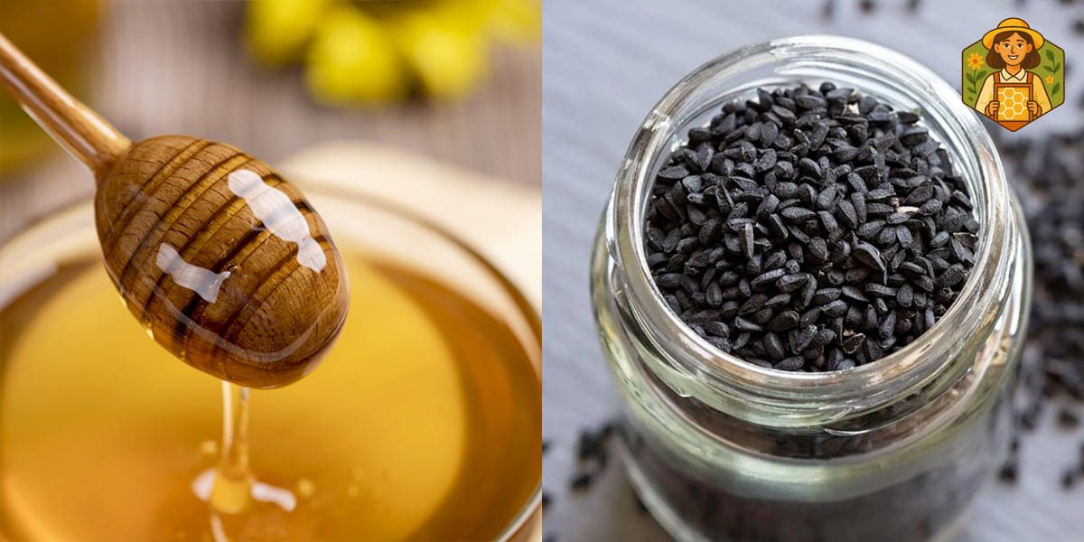 مضرات عسل و سیاه دانه (دوسین) چیست؟ 7 مضرات سیاه دانه