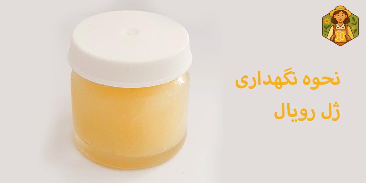 ماندگاری ژل رویال در فریزر