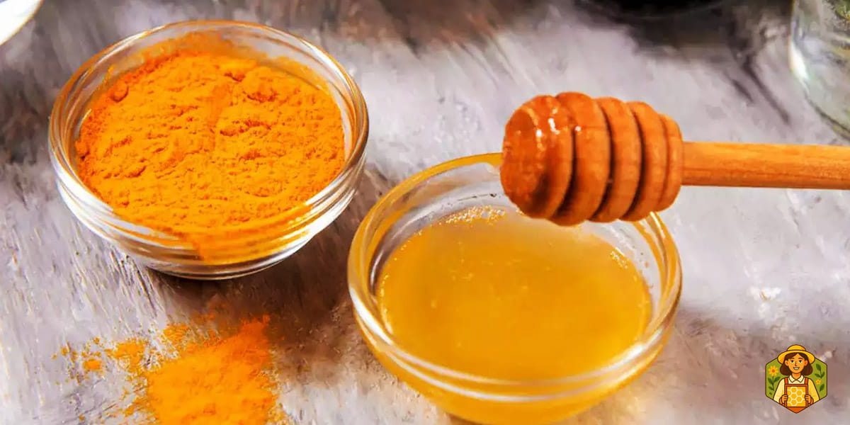 بهترین زمان مصرف ترکیب عسل و دارچین و زنجبیل و زردچوبه
